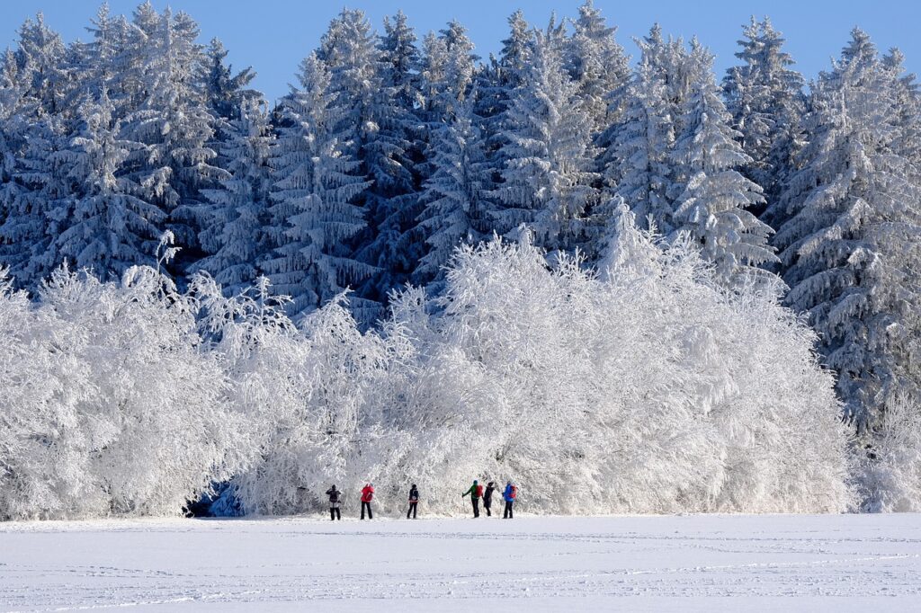 cross country skiing